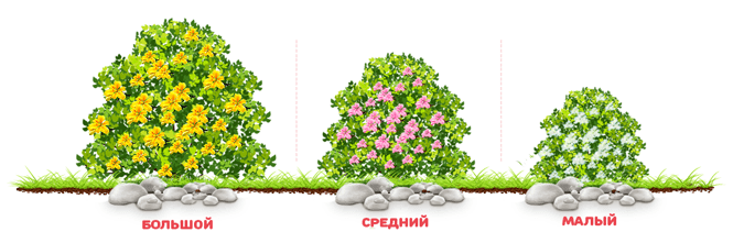 zarabatyvajem.ucoz.ua,онлайн игра goldentea,без вложений,без балов, без минимальной сумы на вывод